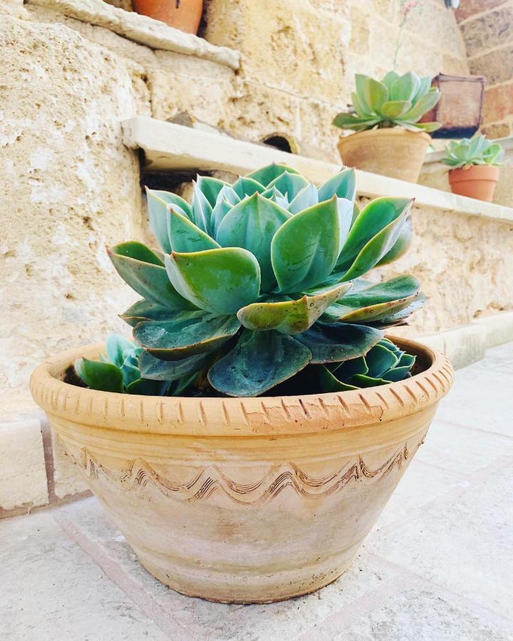 Nonna Veronica Gemini (Apulia) Exterior foto